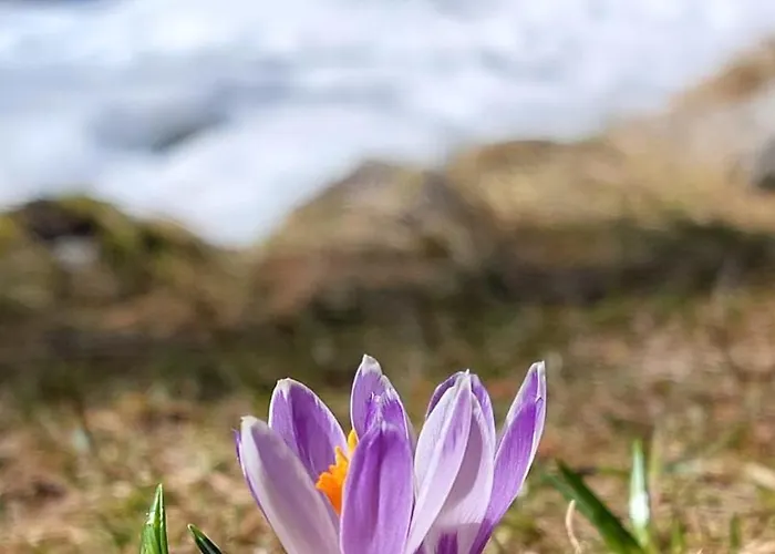 Stackler54 - Mit Garten Apartmán