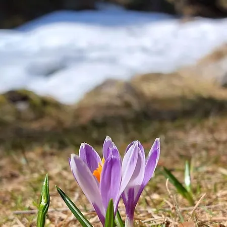 Stackler54 - Mit Garten Appartamento